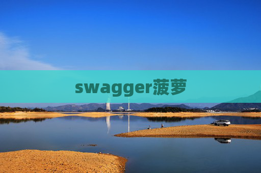 swagger菠萝 swagger菠萝