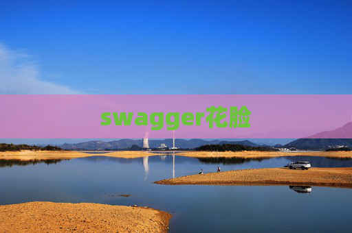 swagger花脸 swagger花脸
